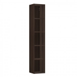 Aukšta spintelė Laufen SPACE 300x294x1700 mm, atvira, 4 lentynėlės, spalva - tamsi guoba, su tamsiai rudo aliuminio rankenėlėmis 